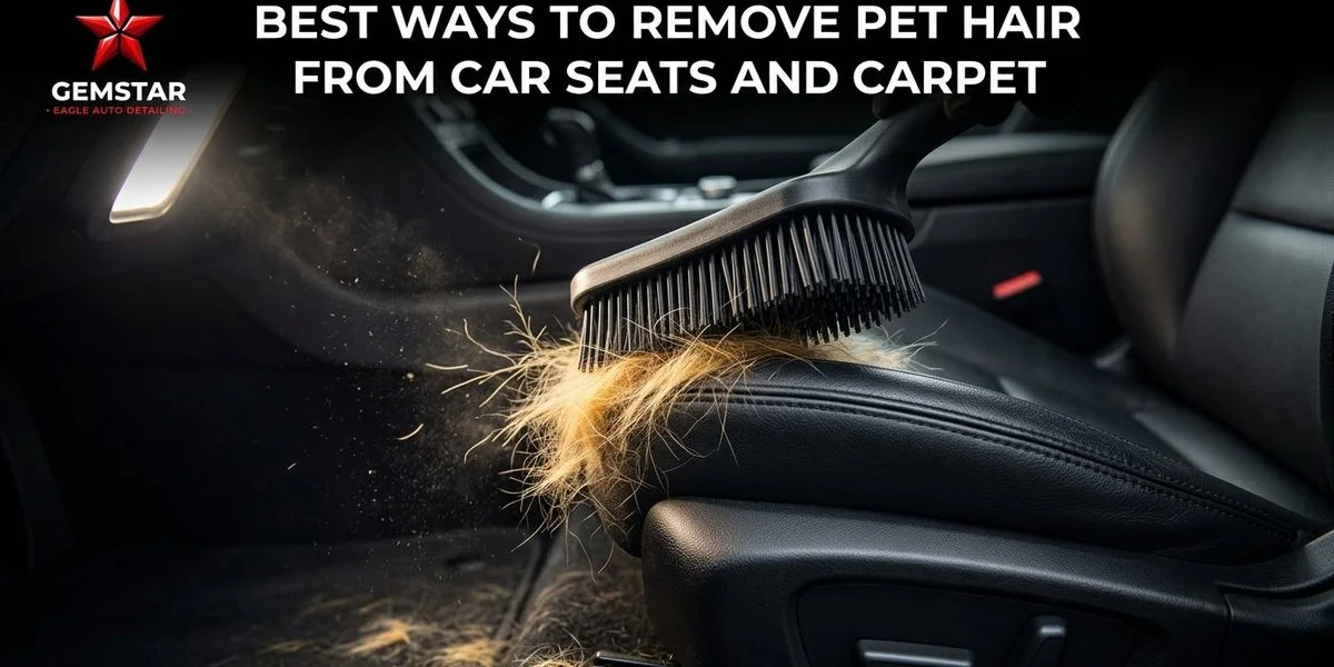 Best Ways to Remove Pet Hair from Car Seats and Carpet